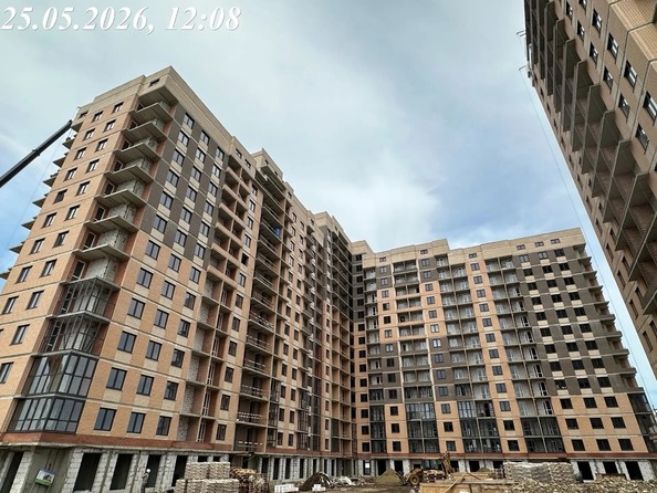 26 мая 2026