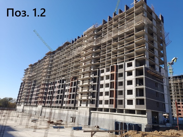 24 сентября 2025