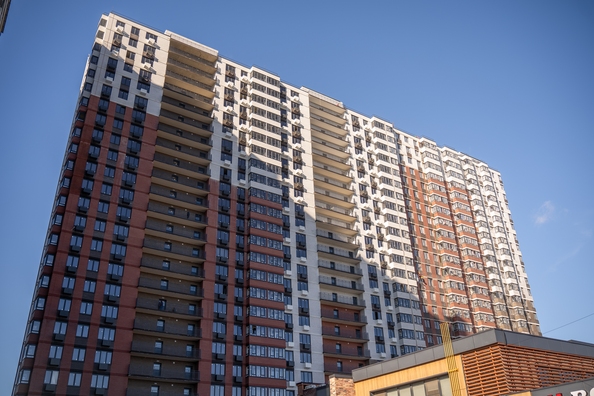 31 октября 2025