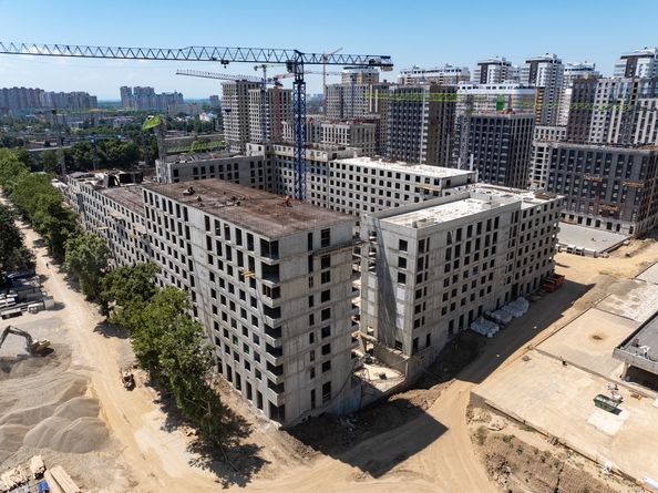 28 июля 2025