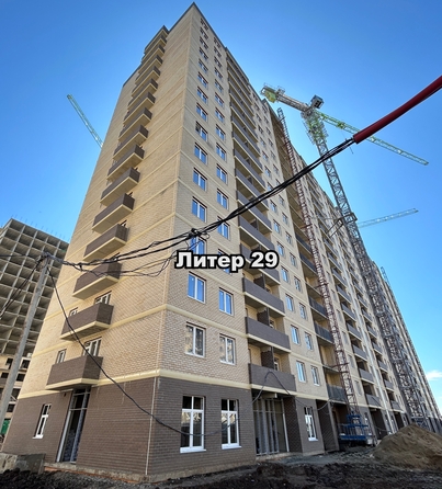 24 апреля 2025