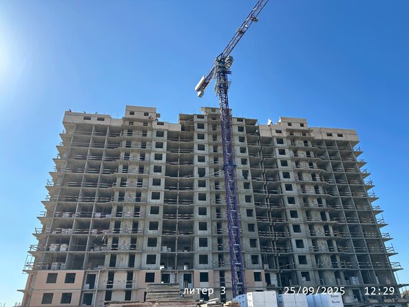 25 сентября 2025