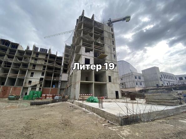 24 октября 2025