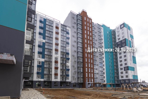 24 октября 2025