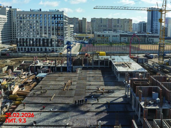 26 февраля 2026