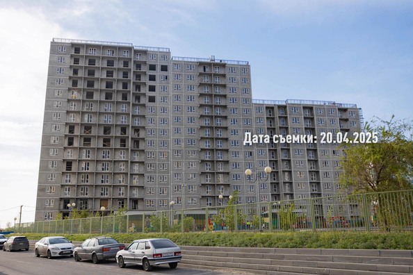 25 апреля 2025