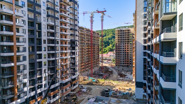 25 июля 2025