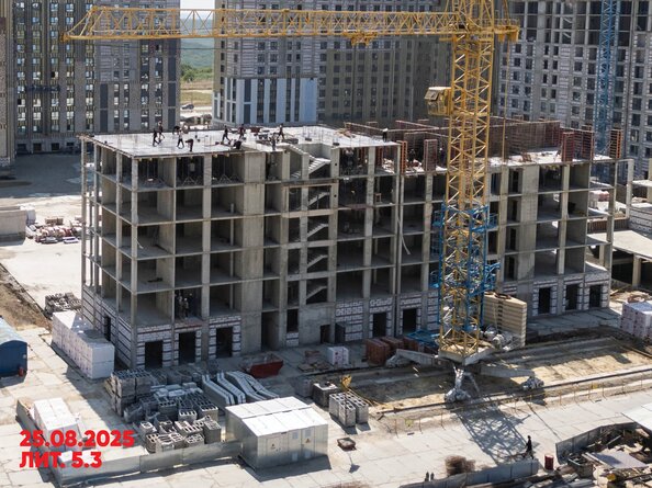 27 августа 2025