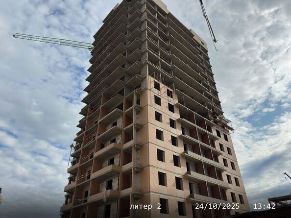 24 октября 2025