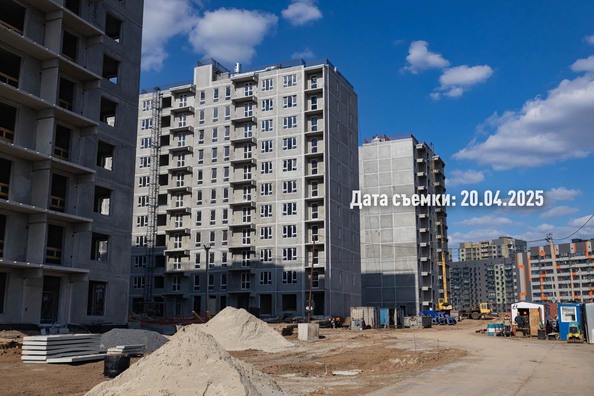 25 апреля 2025