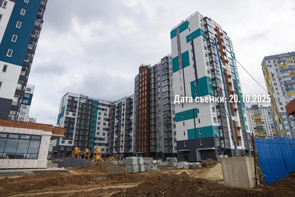 24 октября 2025