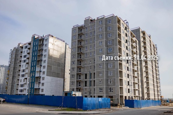 25 апреля 2025