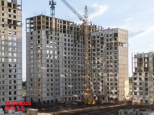 26 июля 2025