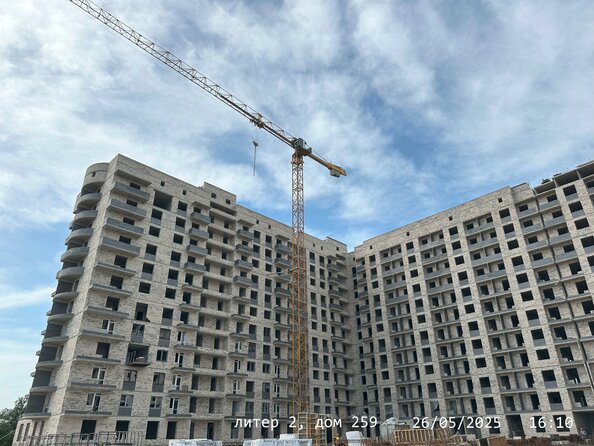 26 мая 2025