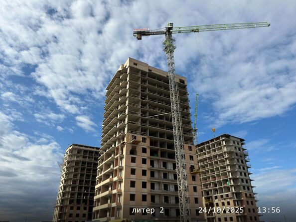 24 октября 2025