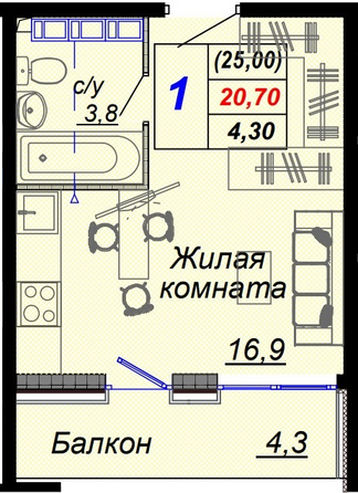 Планировка 1-комн 25 м²