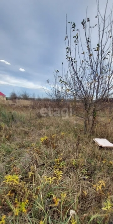 
  Продам  дачный участок, 10 соток, Северо-Восточные Сады

. Фото 3.