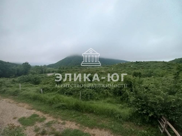 
  Продается земельный участок, 157 соток, село Бжид
. Фото 2.