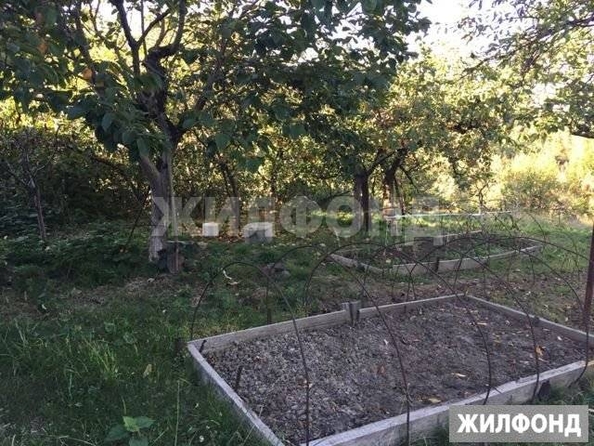 
  Продам  дачный участок Сочи

. Фото 4.