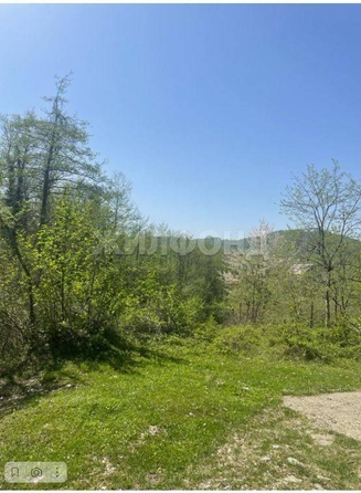 
  Продам  дачный участок Калиновое Озеро

. Фото 1.