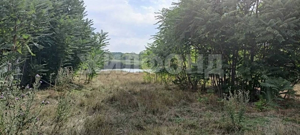 
  Продам  дачный участок Новобейсугская

. Фото 2.