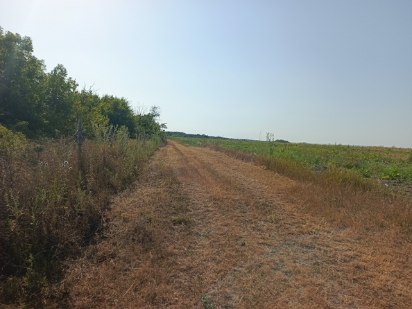 
  Продается земельный участок, 430 соток, станица Гостагаевская
. Фото 14.