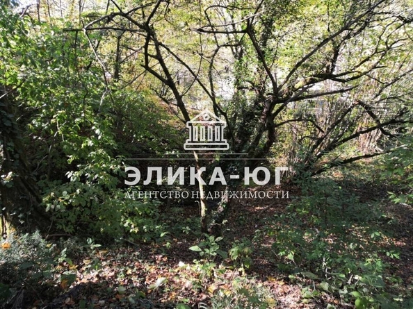 
  Продается земельный участок, 27 соток, село Вольное
. Фото 19.