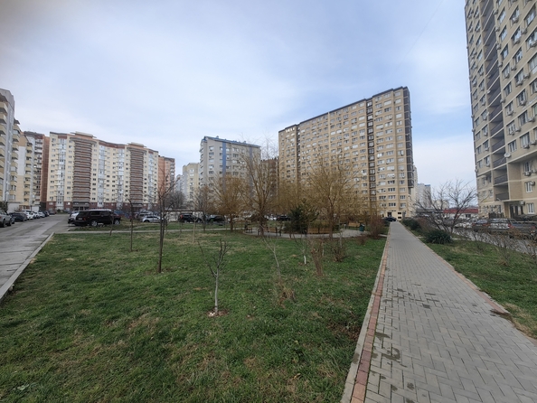 
   Продам студию, 23 м², Владимирская ул, 114к1

. Фото 29.