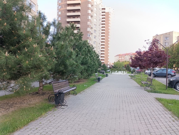 
   Продам студию, 33 м², Владимирская ул, 154к1

. Фото 10.