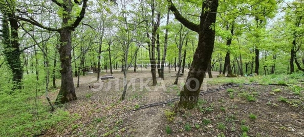 
  Продам  участок ИЖС, 80 соток, Лермонтово

. Фото 6.