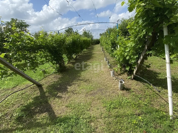 
  Продам  участок ИЖС, 21.2 соток, станица Новотитаровская

. Фото 4.