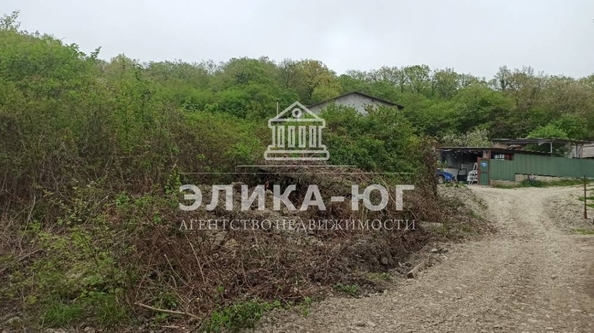 
  Продается земельный участок 7 соток. Фото 5.