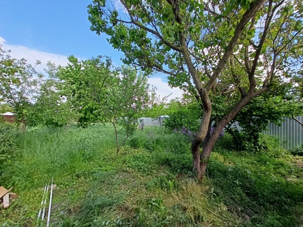 
  Продается дом, 75 м², станица Варениковская
. Фото 6.