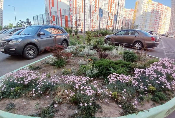 
  Продается 1-комн. квартира, 33 м², Адмирала Пустошкина ул, д. 22с1
. Фото 23.