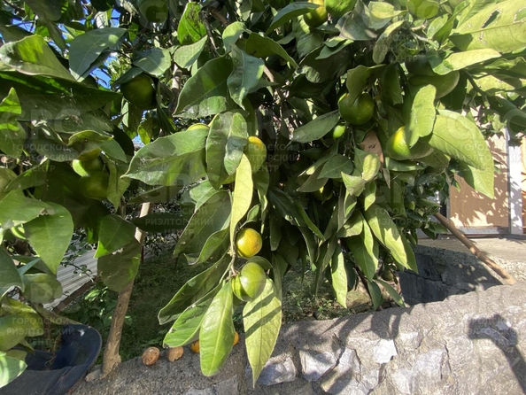 
  Продается дом, 258 м², Сочи
. Фото 6.