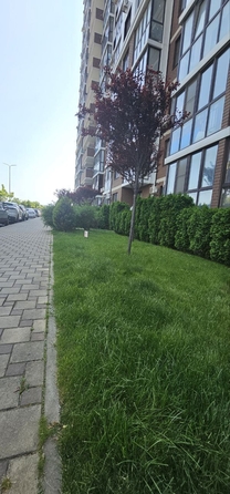 
  Продается студия, 35 м², Анапское ш, д. 24к2
. Фото 22.