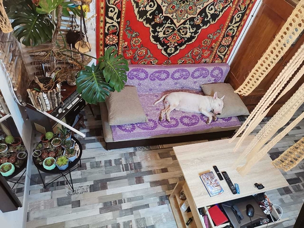 
  Продается студия, 35 м², Владимирская ул, д. 150
. Фото 10.