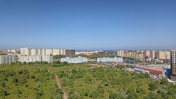 
  Продается студия, 30 м², Анапское ш, д. 24к3
. Фото 14.