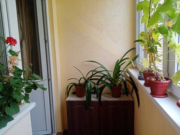 
  Продается 1-комн. квартира, 48 м², Шевченко ул, д. 288Б
. Фото 27.