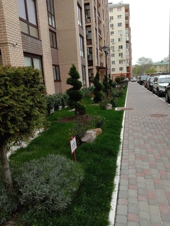 
  Продается студия, 26 м², Парковая ул, д. 61к4
. Фото 3.