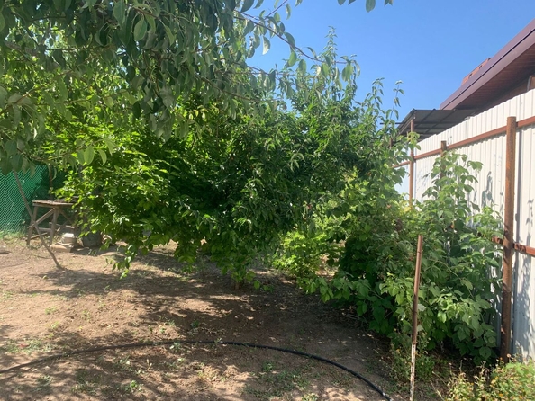 
  Продается дом, 34 м², Анапа
. Фото 6.
