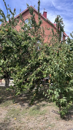 
  Продается 1-комн. квартира, 47 м², Николаевская ул, д. 10
. Фото 13.