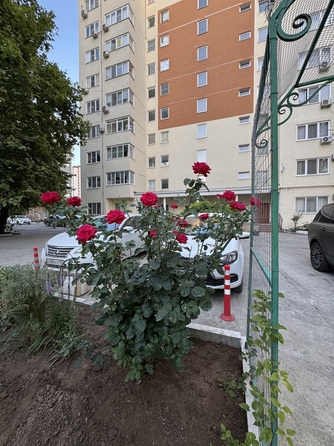 
  Продается 1-комн. квартира, 43 м², Шевченко ул, д. 288Бк2
. Фото 28.