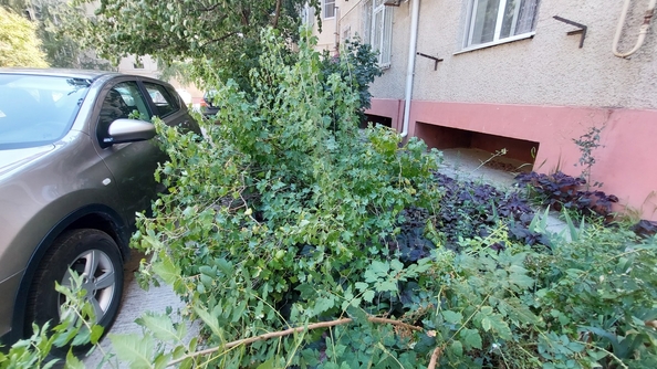 
  Продается 2-комн. квартира, 74 м², Парковая ул
. Фото 3.