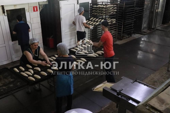 
  Продается готовый бизнес, 1000 м², Колхозная ул
. Фото 3.