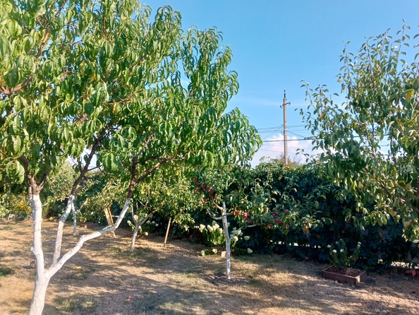 
  Продается дом, 98 м², станица Гостагаевская
. Фото 25.
