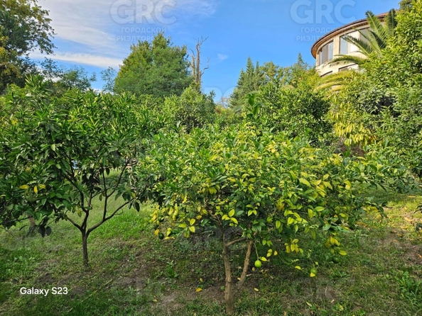 
  Продается дом, 500 м², Сочи
. Фото 22.