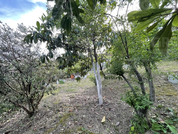 
  Продается дом, 425 м², Сочи
. Фото 4.