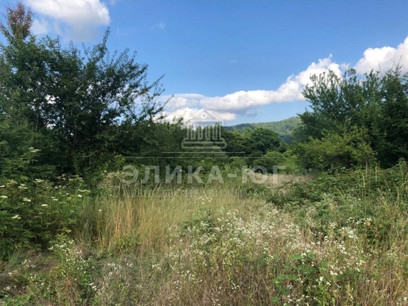 
  Продается земельный участок, 150 соток, село Цыпка
. Фото 2.