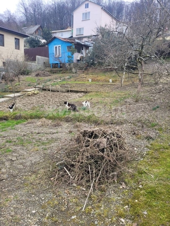 
  Продам  дачный участок Сочи

. Фото 1.